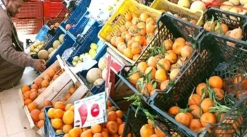 أسعار الخضراوات والفاكهة في الوادي الجديد بعد وصول الطماطم إلى 40 جنيهاً